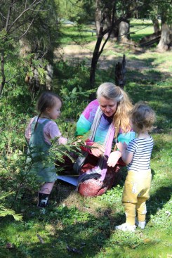 a and e wattle play 2